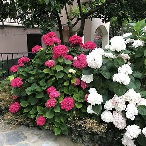 https://ca-du-brigidin.hotelitalianriviera.com